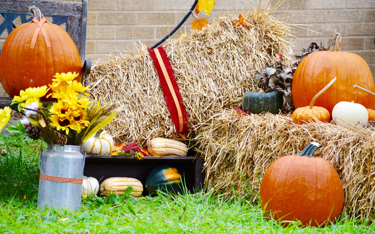 Best Fall Festivals, Farmers’ Markets, Pumpkin Patches & Events Near Mount Ayr, IA